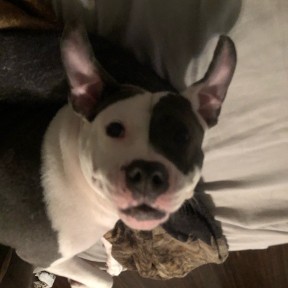 Meet your Posher, Laura - Picture 4 of 5